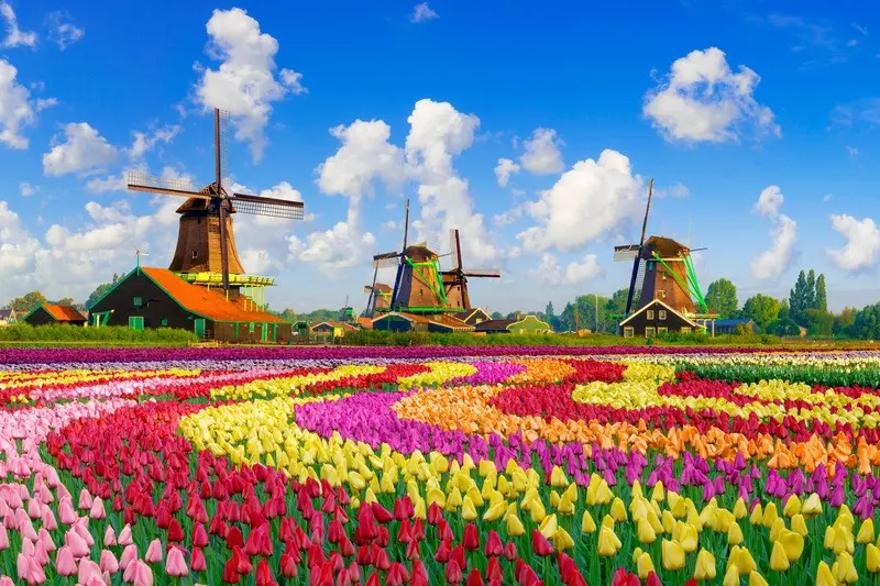 Đức - Hà Lan - Bỉ - Luxembourg - Pháp 9N8Đ Lễ Hội Hoa Keukenhof Bay Thẳng Vietnam Airlines - 4